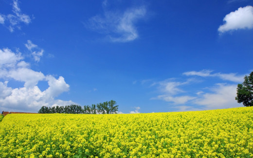 465852 (a): :1920x1200